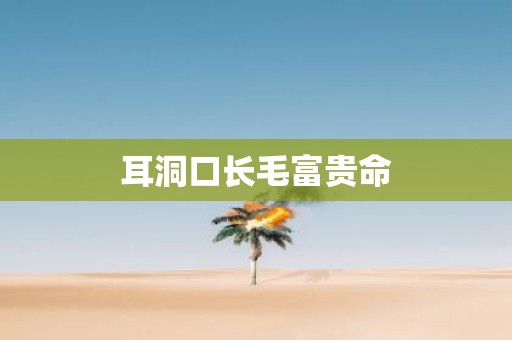 耳洞口长毛富贵命