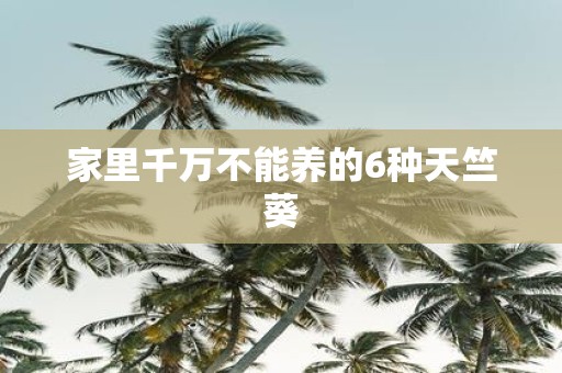家里千万不能养的6种天竺葵