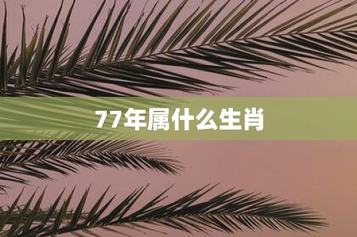 77年属什么生肖