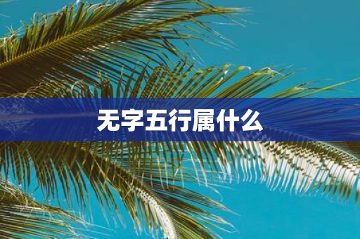 无字五行属什么