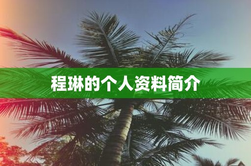 程琳的个人资料简介