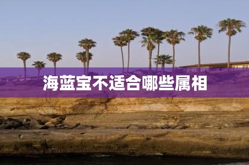 海蓝宝不适合哪些属相