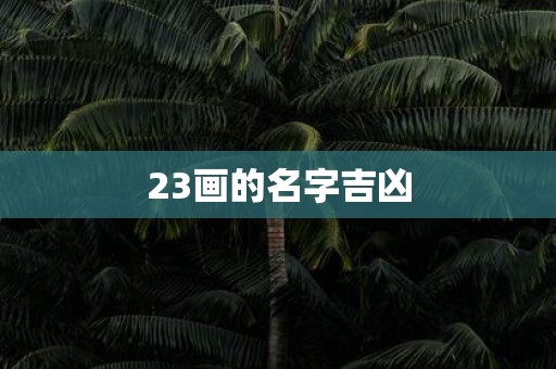 23画的名字吉凶