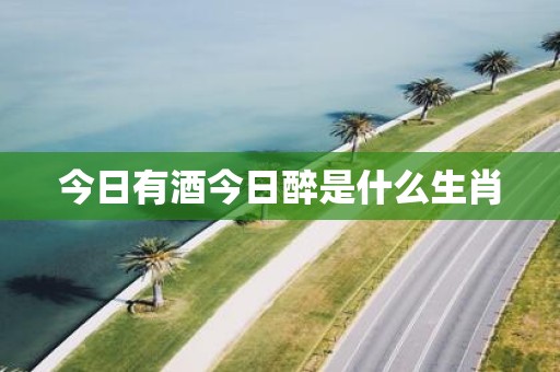 今日有酒今日醉是什么生肖