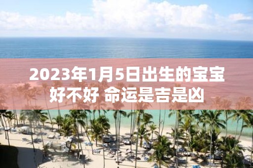 2025年1月5日出生的宝宝好不好 命运是吉是凶