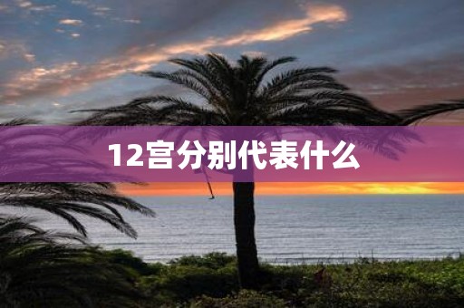 12宫分别代表什么