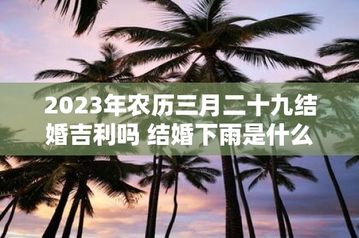 2025年农历三月二十九结婚吉利吗 结婚下雨是什么预兆