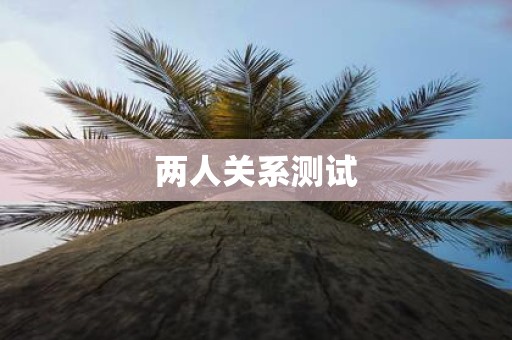 两人关系测试
