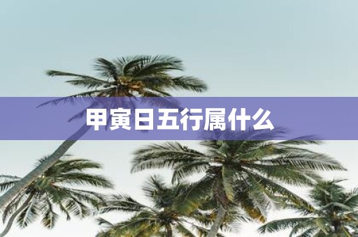 甲寅日五行属什么