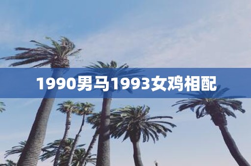 1990男马1993女鸡相配