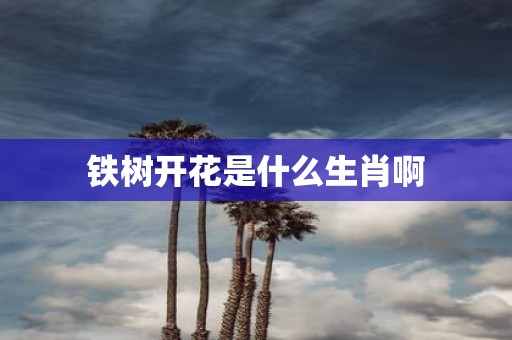 铁树开花是什么生肖啊