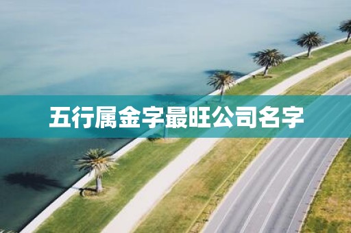 五行属金字最旺公司名字