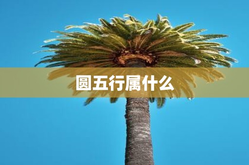 圆五行属什么
