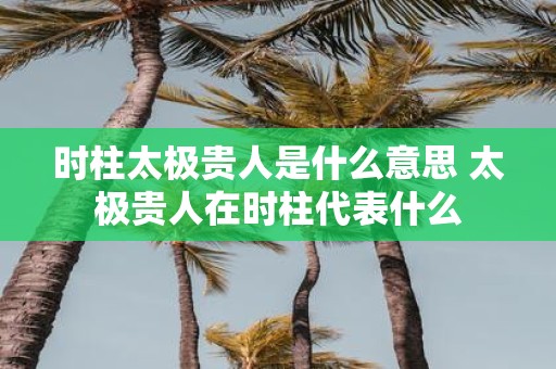 时柱太极贵人是什么意思 太极贵人在时柱代表什么
