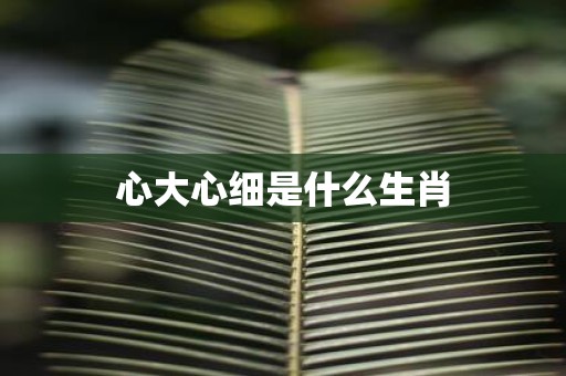 心大心细是什么生肖