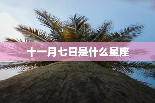 十一月七日是什么星座