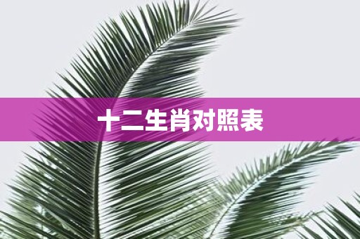 十二生肖对照表