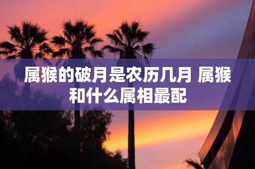 属猴的破月是农历几月 属猴和什么属相最配