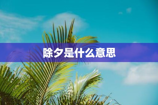 除夕是什么意思