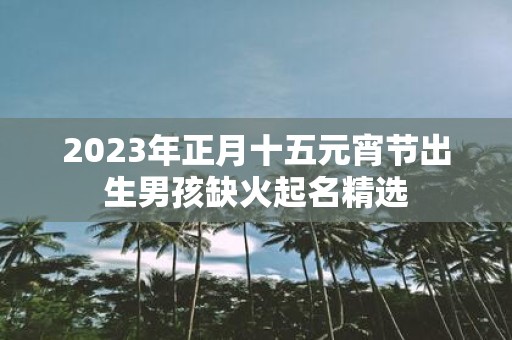 2025年正月十五元宵节出生男孩缺火起名精选