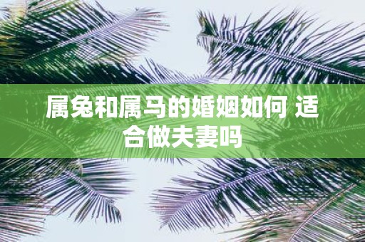 属兔和属马的婚姻如何 适合做夫妻吗