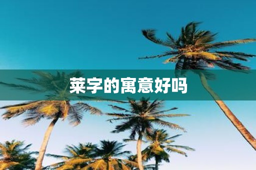 莱字的寓意好吗
