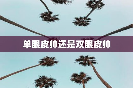单眼皮帅还是双眼皮帅