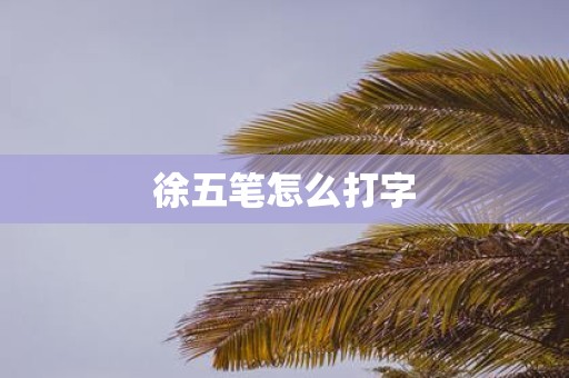 徐五笔怎么打字