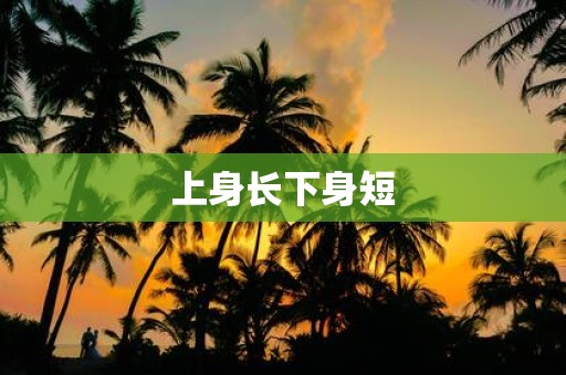 上身长下身短