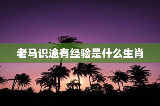 老马识途有经验是什么生肖