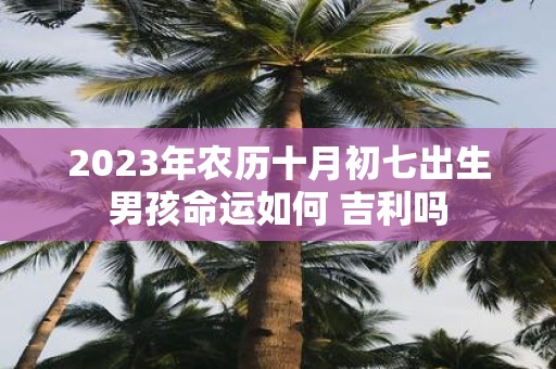 2025年农历十月初七出生男孩命运如何 吉利吗