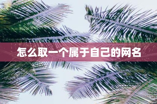 怎么取一个属于自己的网名