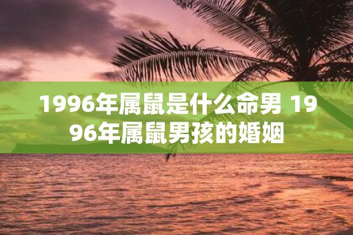 1996年属鼠是什么命男 1996年属鼠男孩的婚姻