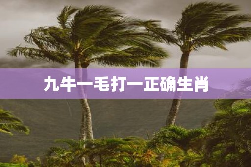 九牛一毛打一正确生肖