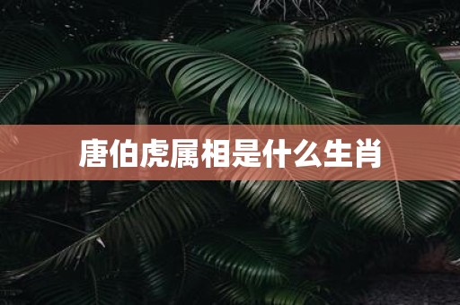 唐伯虎属相是什么生肖