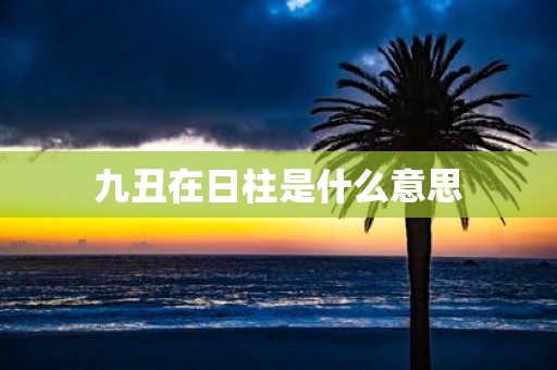 九丑在日柱是什么意思