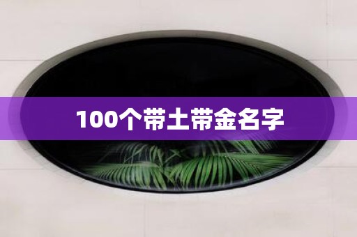 100个带土带金名字