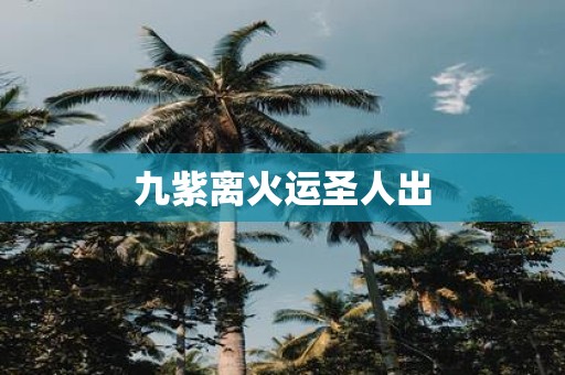 九紫离火运圣人出
