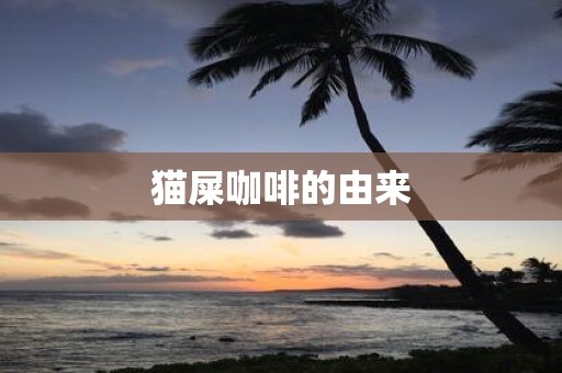 猫屎咖啡的由来