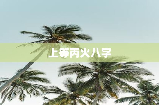 上等丙火八字