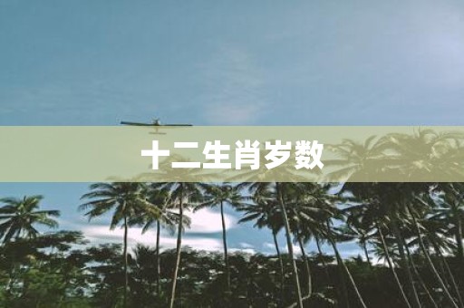 十二生肖岁数