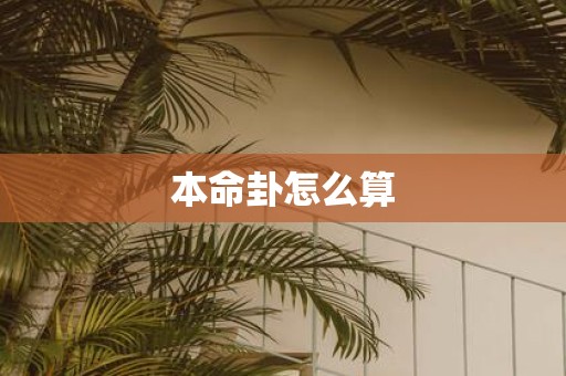 本命卦怎么算