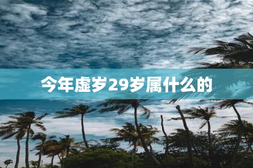 今年虚岁29岁属什么的