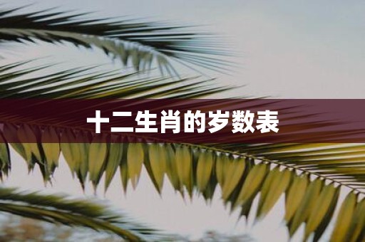 十二生肖的岁数表
