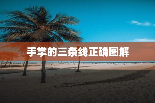 手掌的三条线正确图解