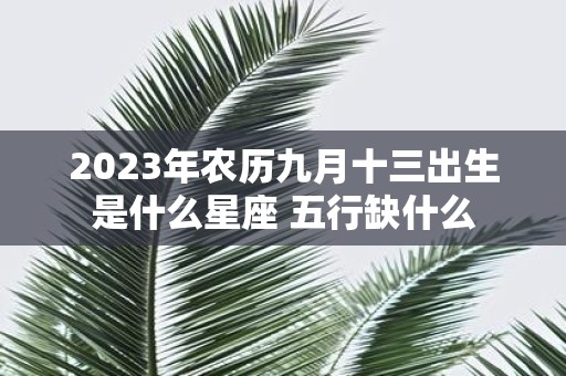 2025年农历九月十三出生是什么星座 五行缺什么