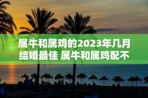 属牛和属鸡的2025年几月结婚最佳 属牛和属鸡配不配