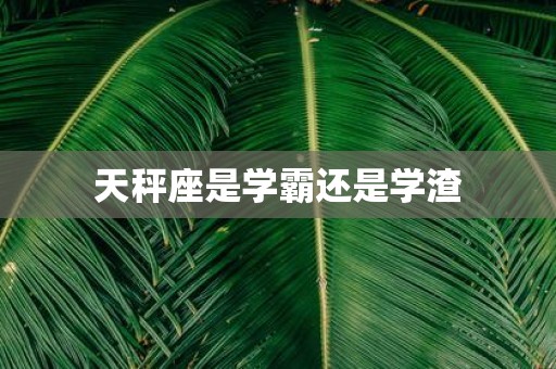 天秤座是学霸还是学渣
