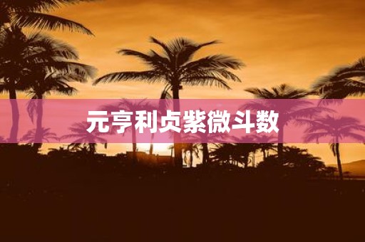 元亨利贞紫微斗数