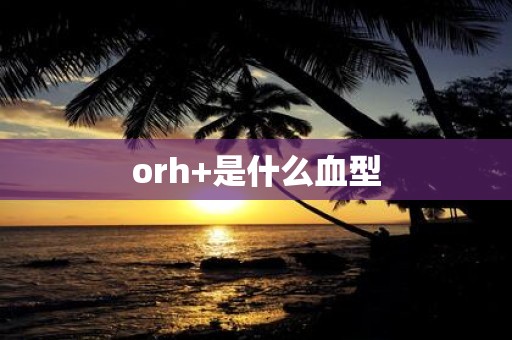 orh+是什么血型